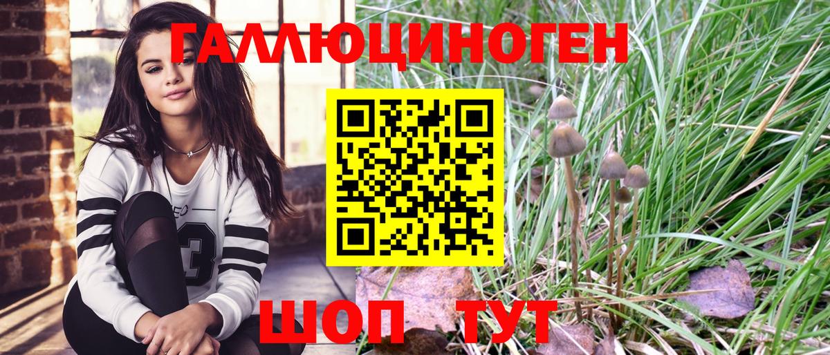 Киреевск  цена наркотик  Вход с VPN  Псилоцибиновые грибы Psilocybe 