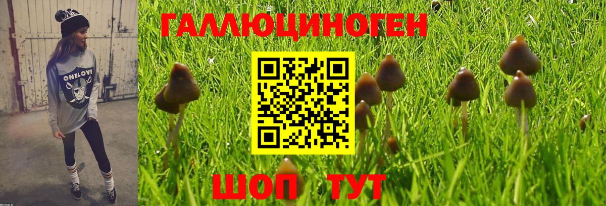 Галлюциногенные грибы мухоморы Киреевск